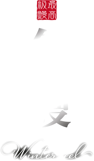 冬鰻